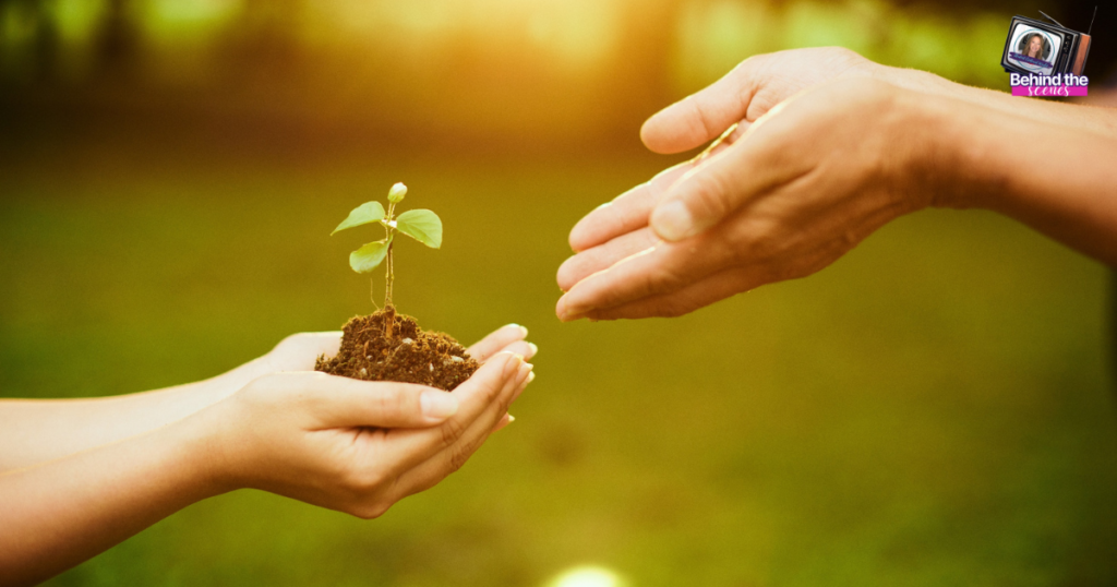 Close-up of a small plant with soil held in one persons hands, while another hand reaches towards it, set against a blurred green background with warm sunlight.